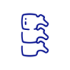 腰椎/下部脊椎