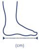 Foot length