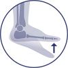 Biomechanical correction